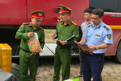 Yên Bái xử lý 331 vụ vi phạm về buôn lậu, hàng giả và 13Win22 com tỷ lệ cược cao rõ nguồn gốc